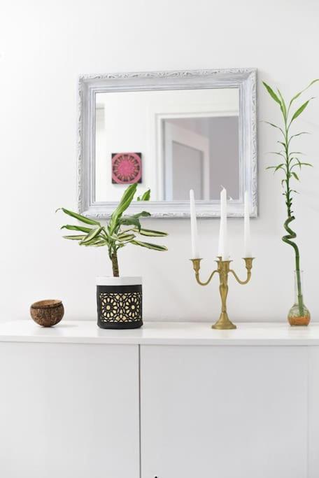 Apartman Ilijana 扎达尔 外观 照片