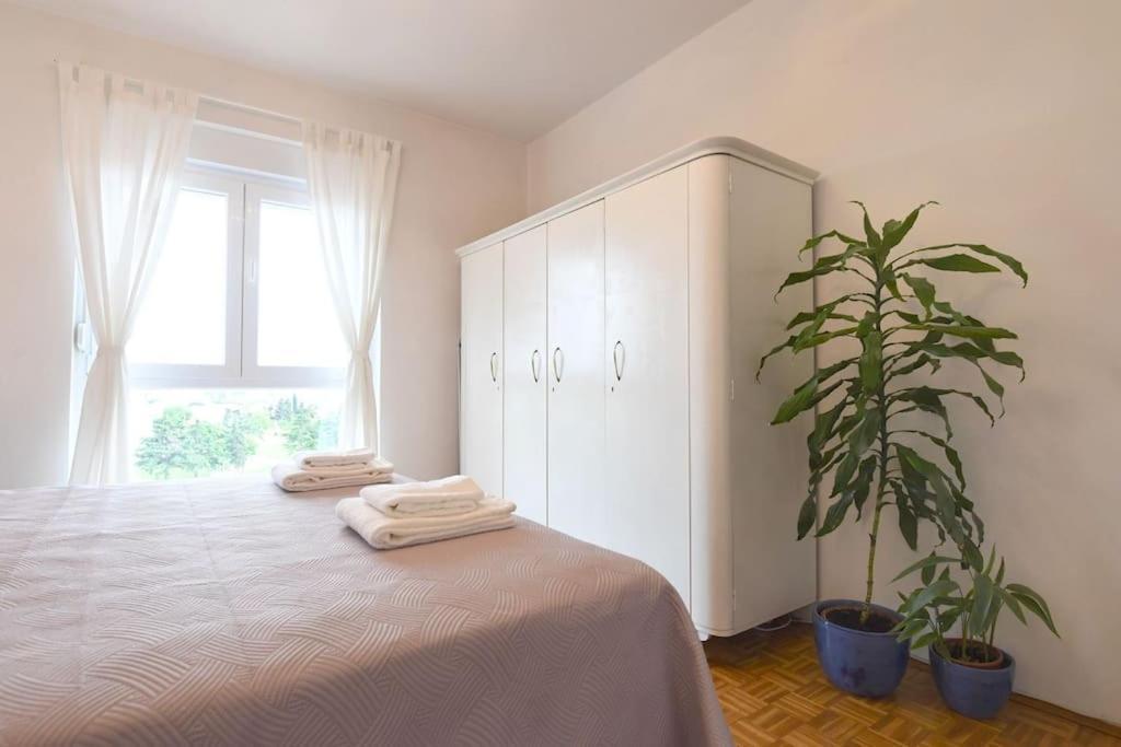 Apartman Ilijana 扎达尔 外观 照片