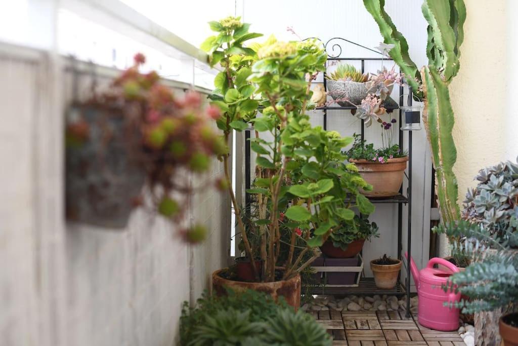 Apartman Ilijana 扎达尔 外观 照片